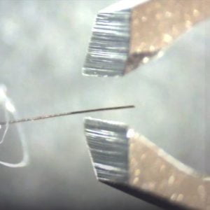 5μm tungsten wires can be cut using microtweezers