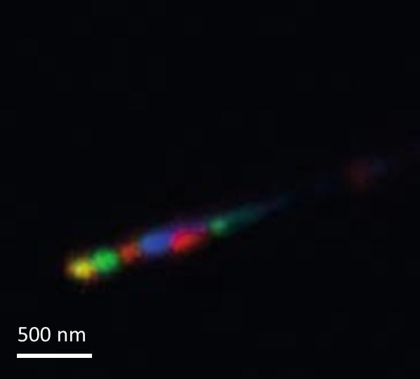 strong interaction between light and Nanowires