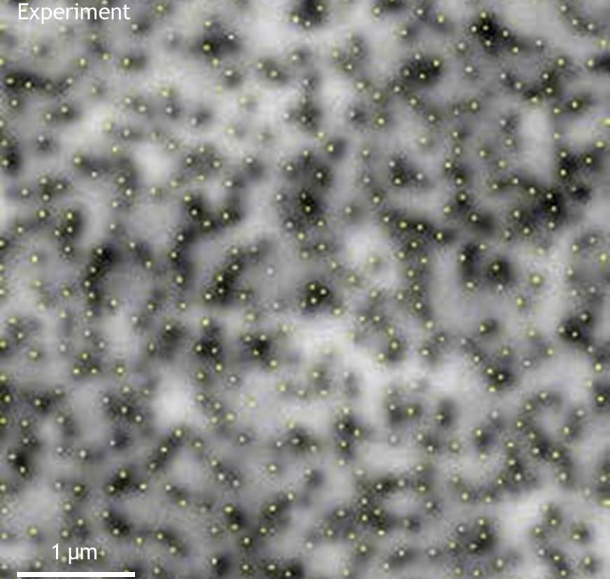 CL image of the same sample. Defects appear as dark spots. The yellow dots point the defects that are detected by the Attolight proprietary software.