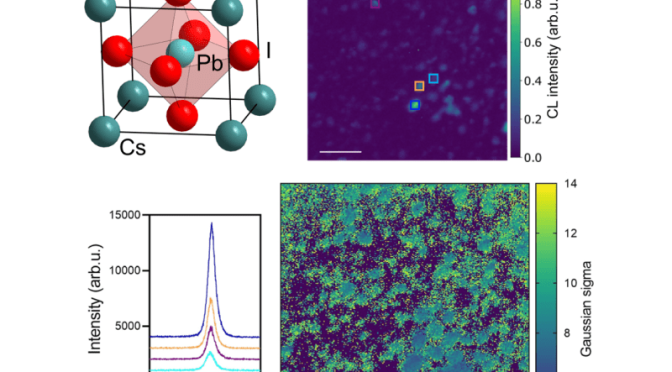 Correlating structural and optical properties of lead halide perovskites