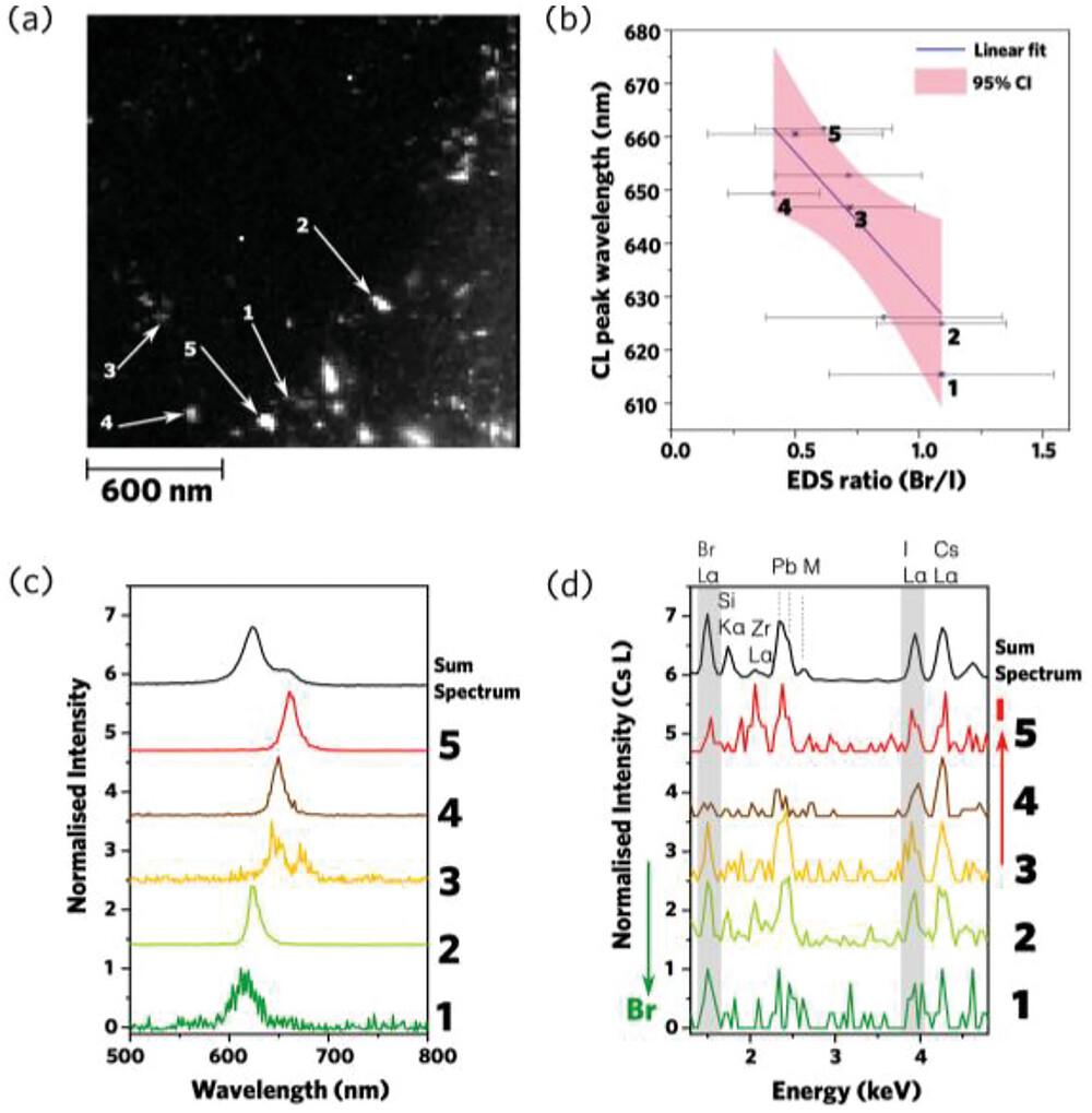 a) Panchromatic CL image of CsPbBr1.5I1.5 embedded in a MOF matrix. b) Correlation between CL peak wavelength and Br/I ratio, as measured by EDS, for individual grains as labeled in (a). c) CL spectra and d) EDS spectra from the labeled positions. Figure adapted from [1] with permission from L.H.G. Tizei.