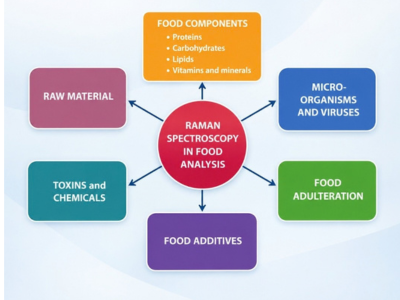 Raman Spectroscopy in the Analysis of Food