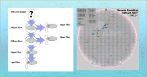 Characterization and Analysis of Microplastics Using Benchtop Micromanipulators and Confocal Raman Microscopy