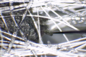Foreign particle embedded within the paper fiber network observed under microscopic magnification prior to extraction