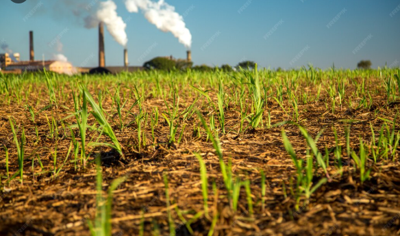 Real-Time Gas Flux Analysis for Capturing Transient Soil Emission events