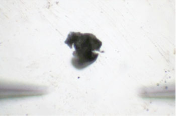 Recovered foreign particle following extraction, ready for downstream analytical techniques such as Raman spectroscopy, FTIR, SEM, or EDS