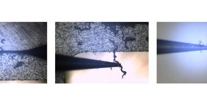 Untitled design (9)
