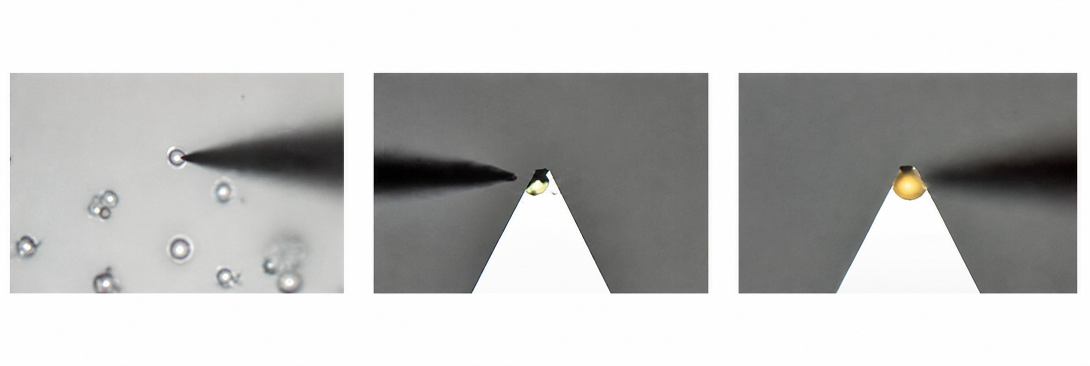 Colloidal probes can be createdColloidal probes can be created